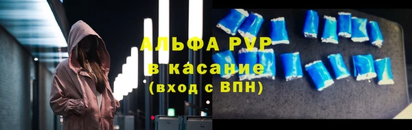 молекула духа Арсеньев