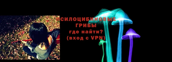 молекула духа Арсеньев