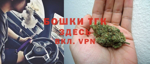 молекула духа Арсеньев